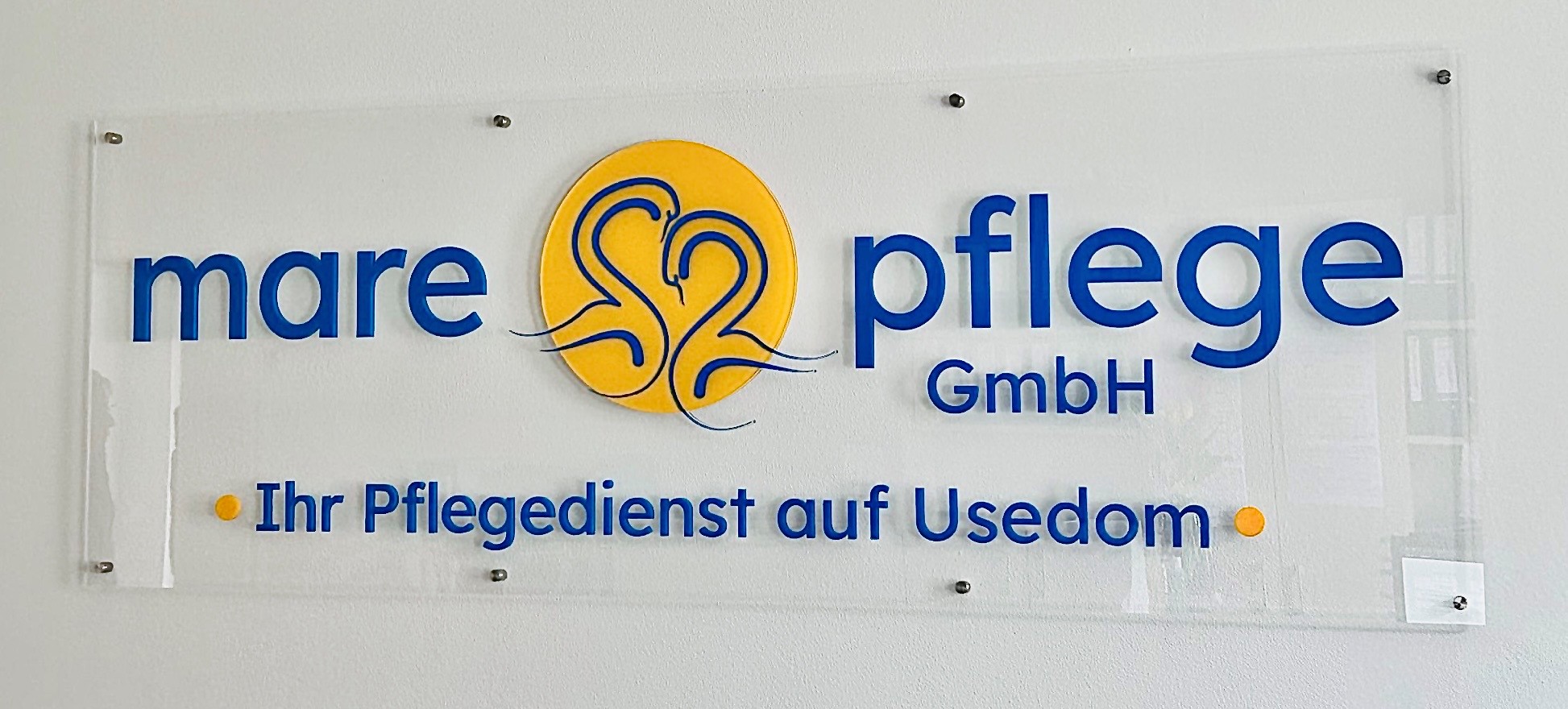 logo logo